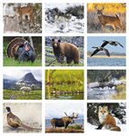 North American Wildlife